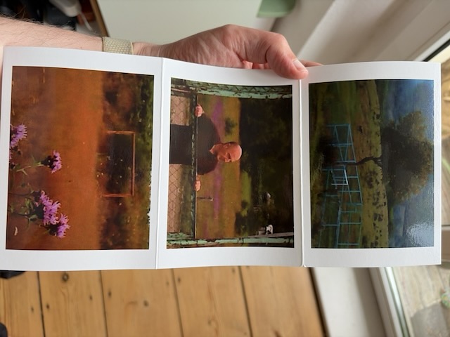 Postkarte für den Film "Dry Leaf" (Vorderseite)